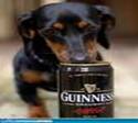 funny-picture-1350453634
