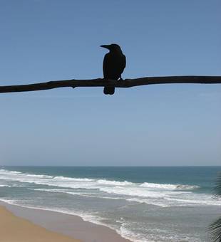 http://static.flickr.com/116/283116024_df2bf5c187.jpg?v=1162434872