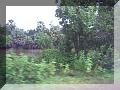 PICT0024.JPG