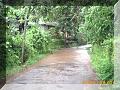 PICT0032.JPG