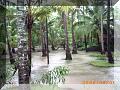 PICT0041.JPG