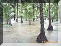 PICT0042.JPG